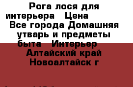 Рога лося для интерьера › Цена ­ 3 300 - Все города Домашняя утварь и предметы быта » Интерьер   . Алтайский край,Новоалтайск г.